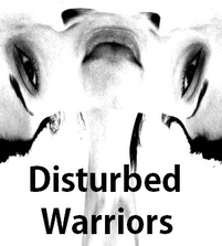 Disturbed Warriors